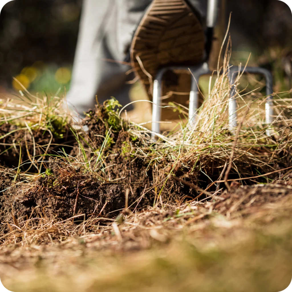 Aerating soil near me