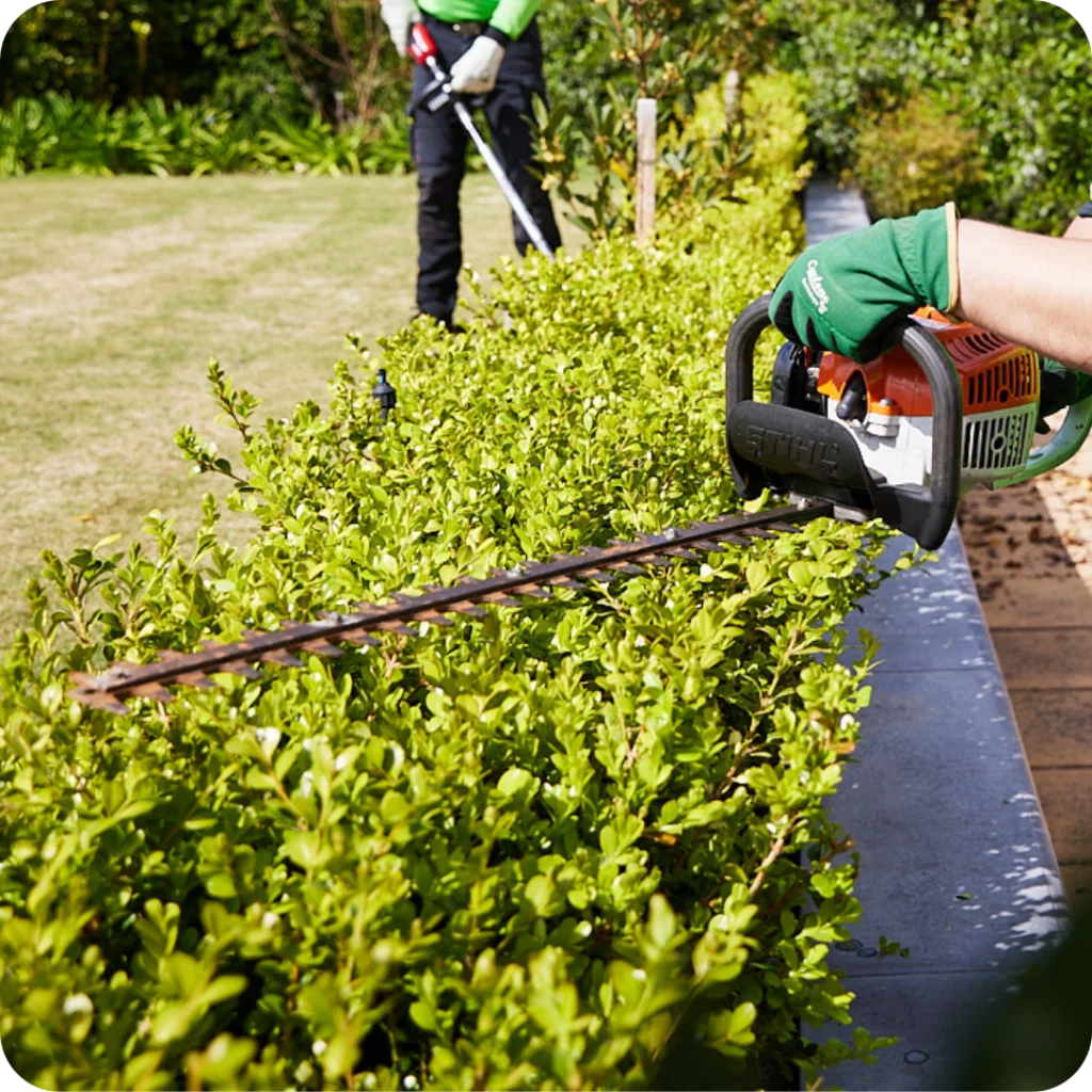 Hedging & Edging near me